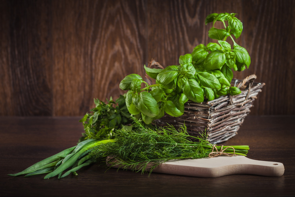 Cilantro - Un ingrediente muy caribeño - Aires de Trapiche